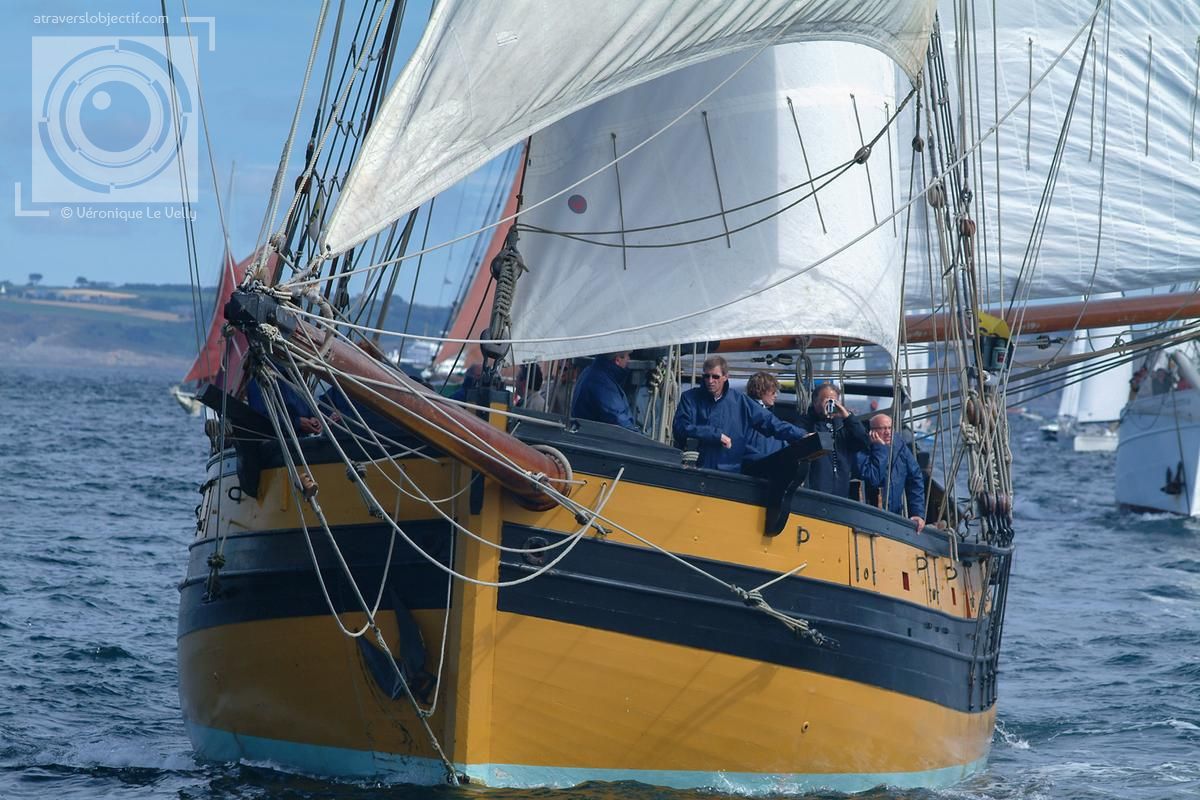 Photos du voilier Le Renard Bateaux A travers l'objectif