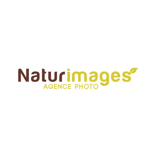 logo Naturimages