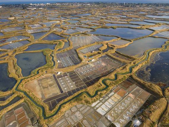 Marais salants presqu'île de Guérande 