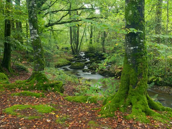 Argoat le centre Bretagne 