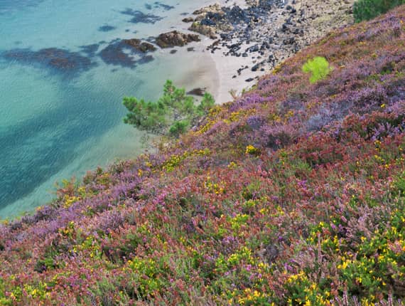 falaises de Morgat