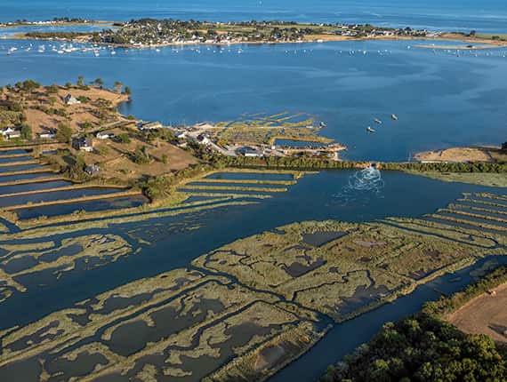 La presqu'île de Rhuys