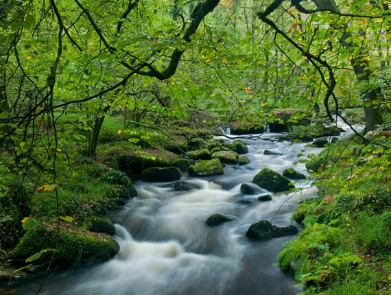 rivière Bretagne