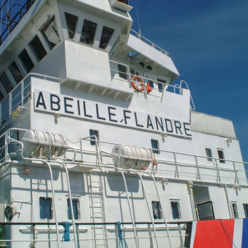 L'Abeille Flandre