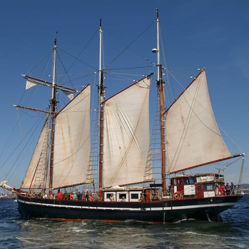 Le Bel Espoir naviguant en rade de Brest