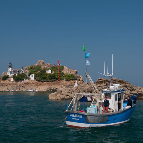 Le Belouga devant l'île Louët