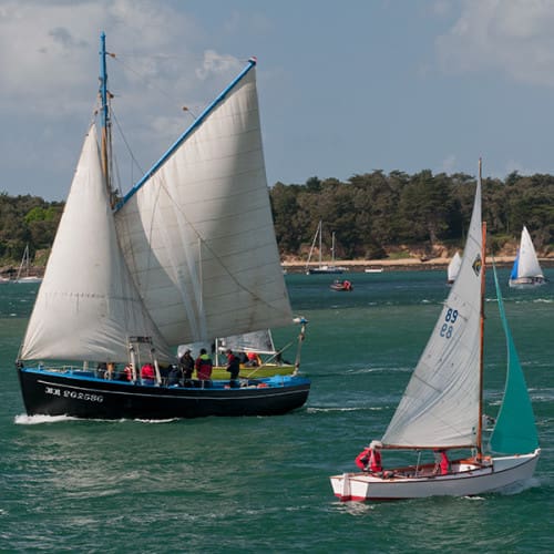 Régate de voiliers dans le golfe du Morbihan