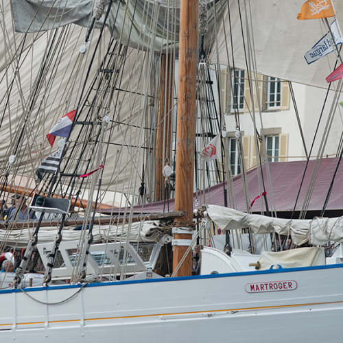 Gros plan sur le Martroger