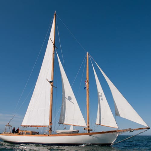 Le Niñita, yacht classique, sous voiles