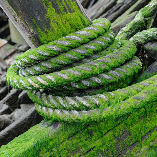 Epave de bateau