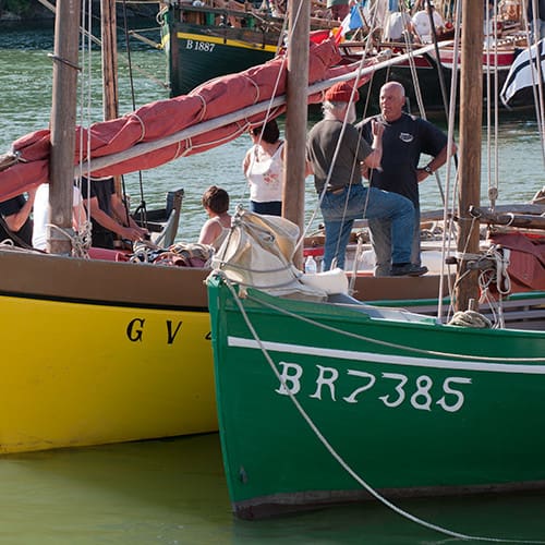 Vieux gréements rassemblés