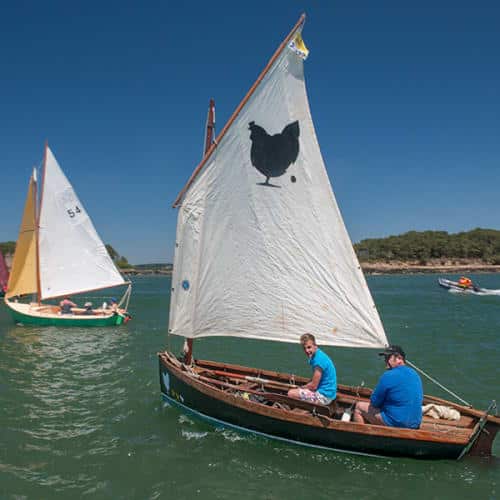 Voile-aviron joliment décoré