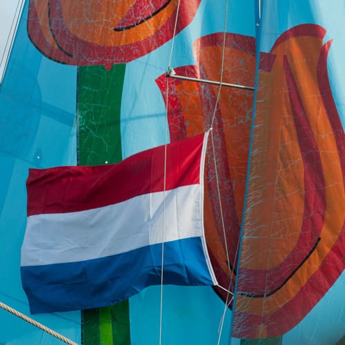 Voiles ornées de tulipes