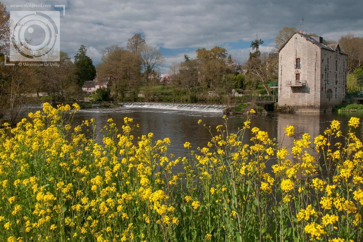 Photos de Bourg-des-Comptes - Bretagne