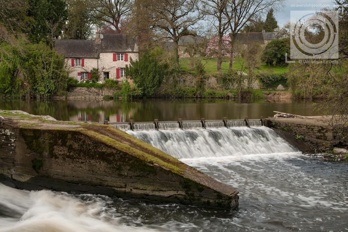 Photos de Bourg-des-Comptes - Bretagne