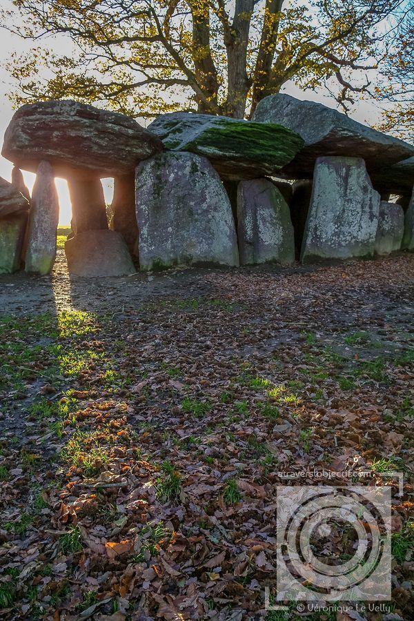 Photos de la RocheauxFées