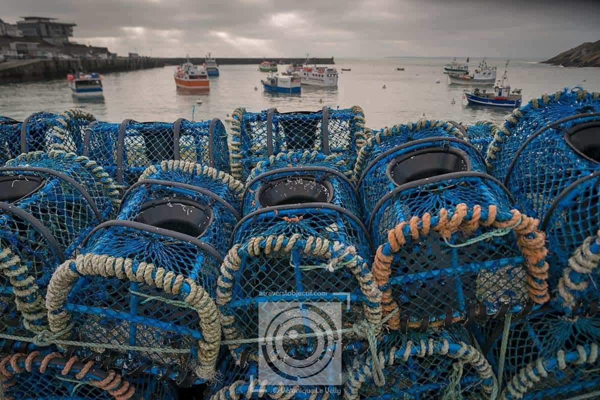 Casier à Crustacés Professionnel Modèle 65161 – Pour Pêche Homard, Crabe – Structure Galvanisée, Entrée Circulaire