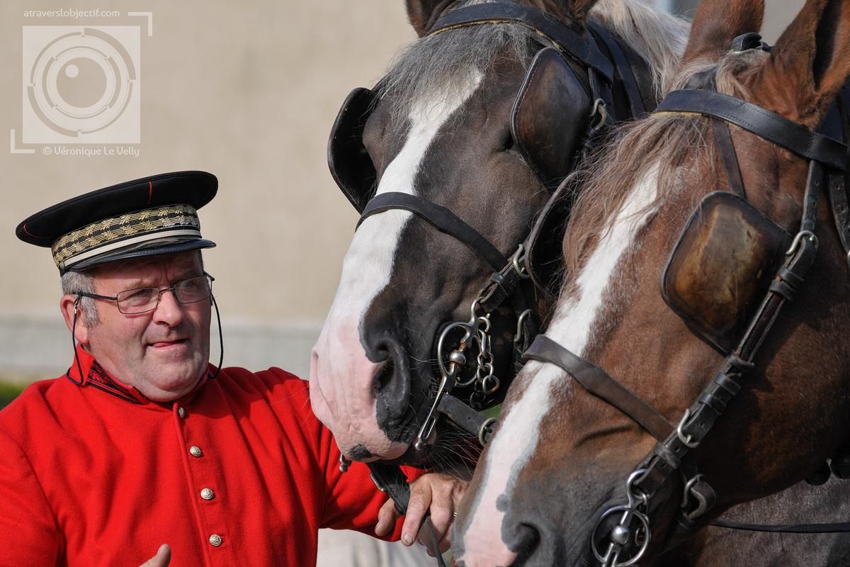 Photos des haras nationaux de Lamballe et Hennebont Bretagne
