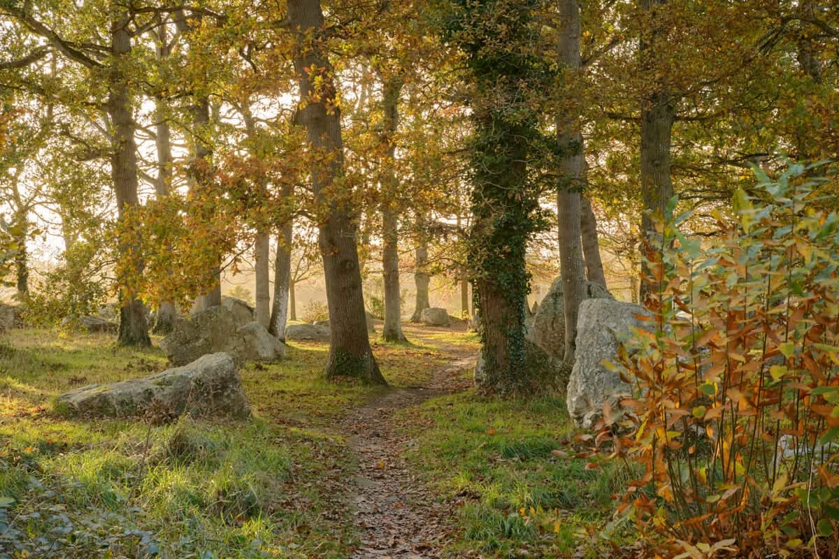 Cimetière des druides