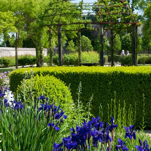 Jardin du château de Bois-Orcan