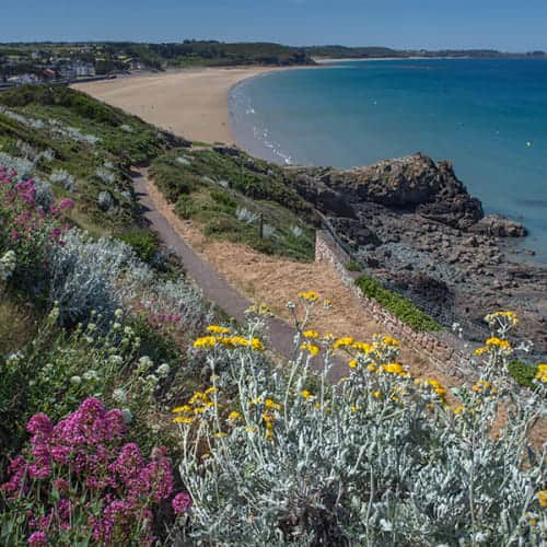 Littoral fleuri