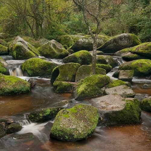 La rivière du Gouët