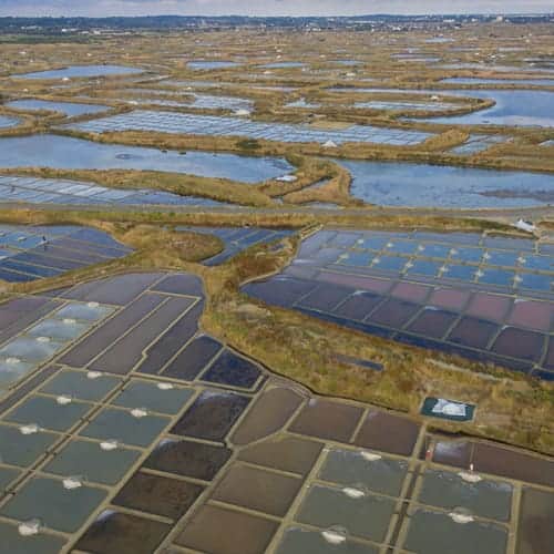 Marais salants de Guérande