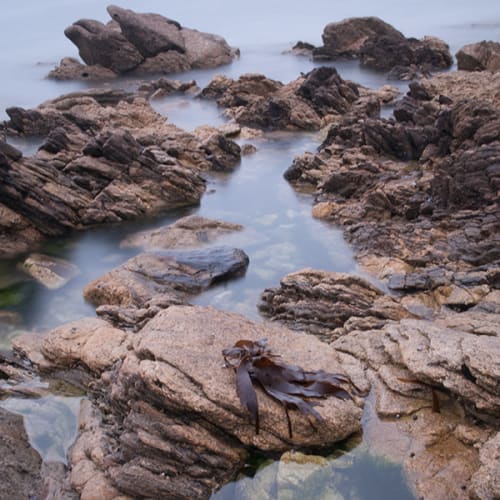 Rochers au bord de la mer