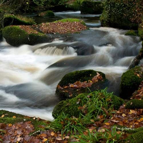 La rivière d'Argent