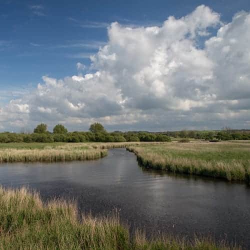Marais au coeur du site de Keremma
