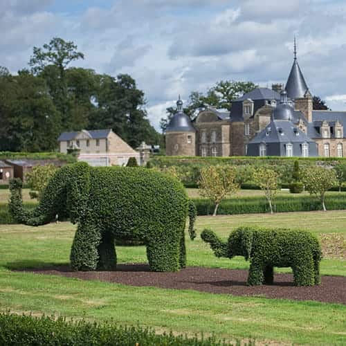 Animaux sculptés dans le buis