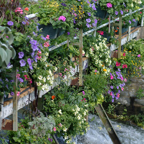 Pont fleuri au-dessus de l'Aff