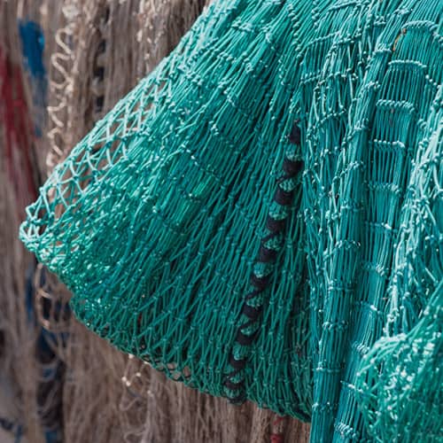 Filets de pêche