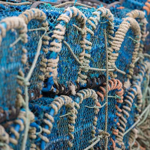 Détails de casiers de pêche