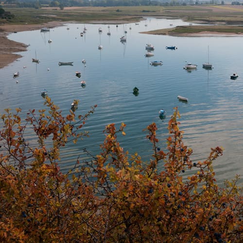 Rivière de la Rance