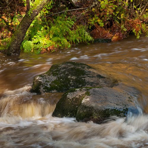 La rivière l'Ellé à l'automne