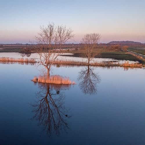 Vue surélevée du marais
