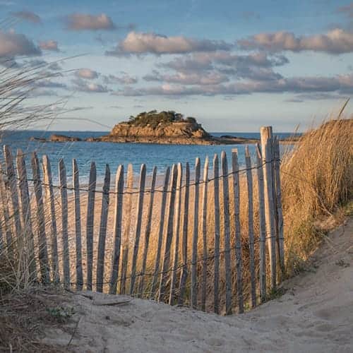 Ganivelles sur la dune