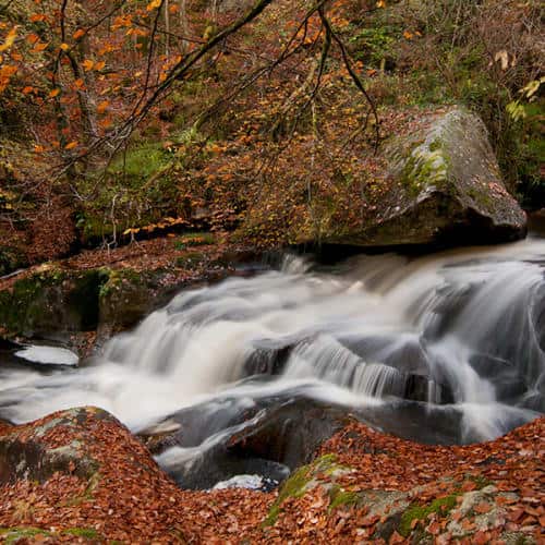 Rivière de l'Ellez
