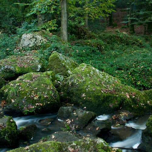 Petit chaos rocheux à travers le ruisseau de Saint-Blaise