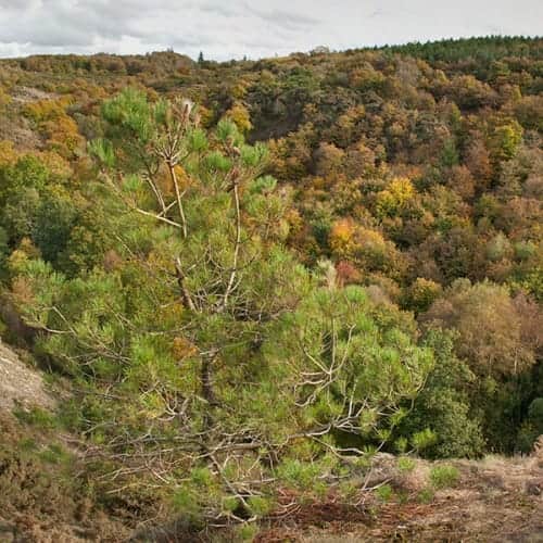 Couleurs d'automne au Val-sans-Retour