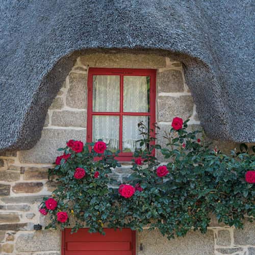 Détail de chaumière traditionnelle