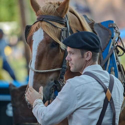 Cheval de trait en attente de son chargement