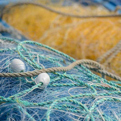 Filets de pêche