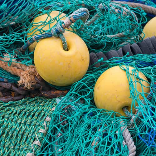 Filets de pêche verts