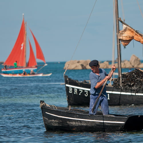 Bateau de goémonier