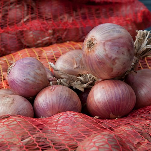 Oignons rosés
