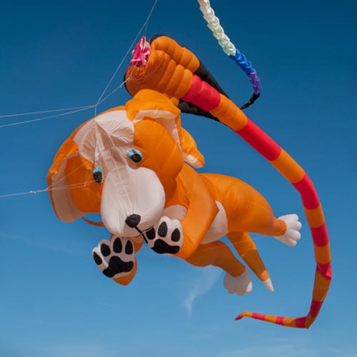 Cerf-volants représentant des animaux