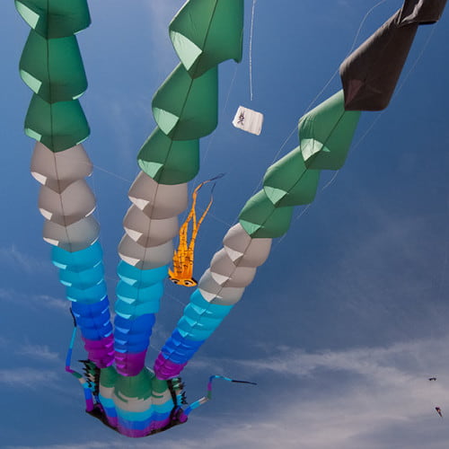 Pieuvre volante