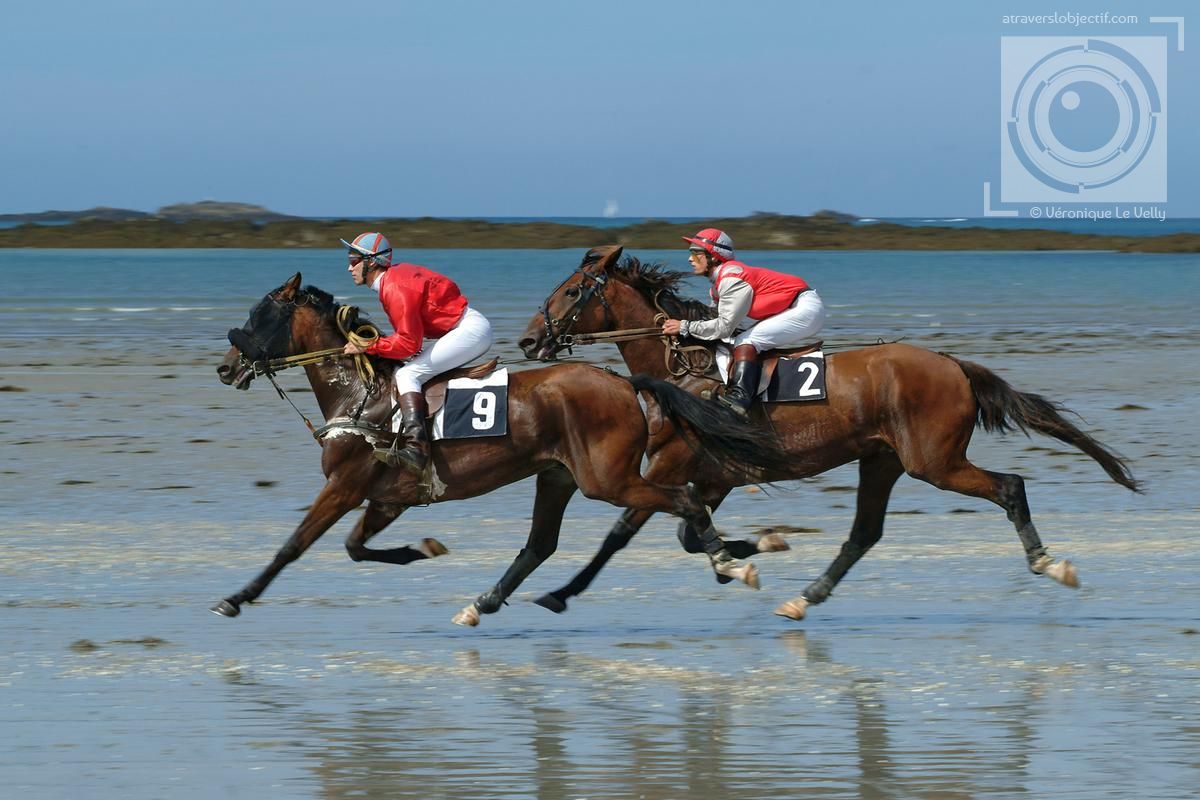 Courses hippiques - La Roche Posay Tourisme